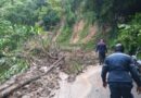 Lluvias afectan 400 viviendas en Cojedes