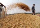 Cierra uno de los molinos de trigo más grandes en Venezuela