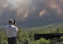 El calor agobia a medio planeta y multiplica los incendios forestales