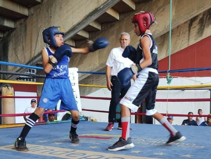 Zulia se prepara para enfrentar a 17 estados confirmaron para el Nacional de Boxeo Infantil