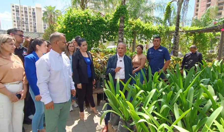 Gobernador Rosales impulsa política ambiental que contempla la siembra de 1 millón de árboles en el Zulia