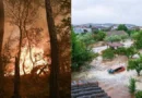 Grecia, golpeada por los fenómenos extremos: de un verano de incendios a las inundaciones por lluvias torrenciales