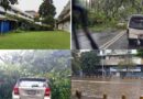 Lluvias dejaron árboles caídos y calles anegadas en Caracas