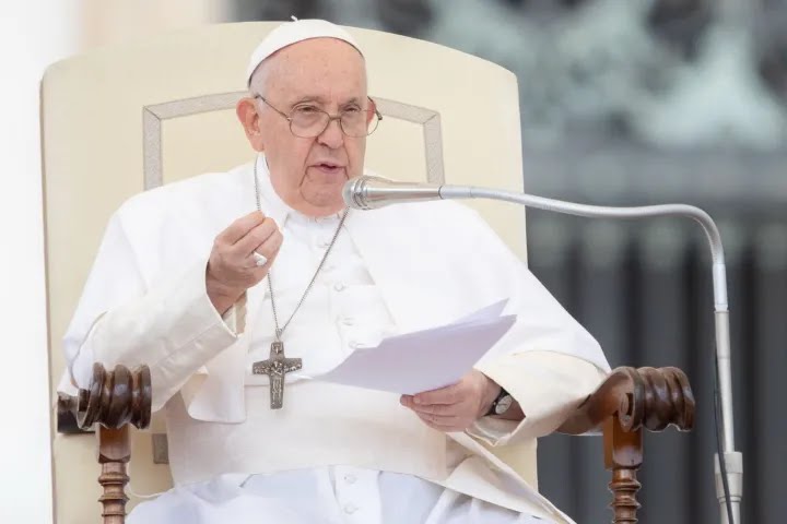 El Papa Francisco lamenta que muchos creyentes no han leído ni un Evangelio