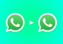 WhatsApp quitará el color verde en dispositivos Android