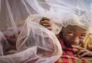 Un reto crítico para la salud global: acabar con la mayor emergencia de malaria de los últimos 20 años