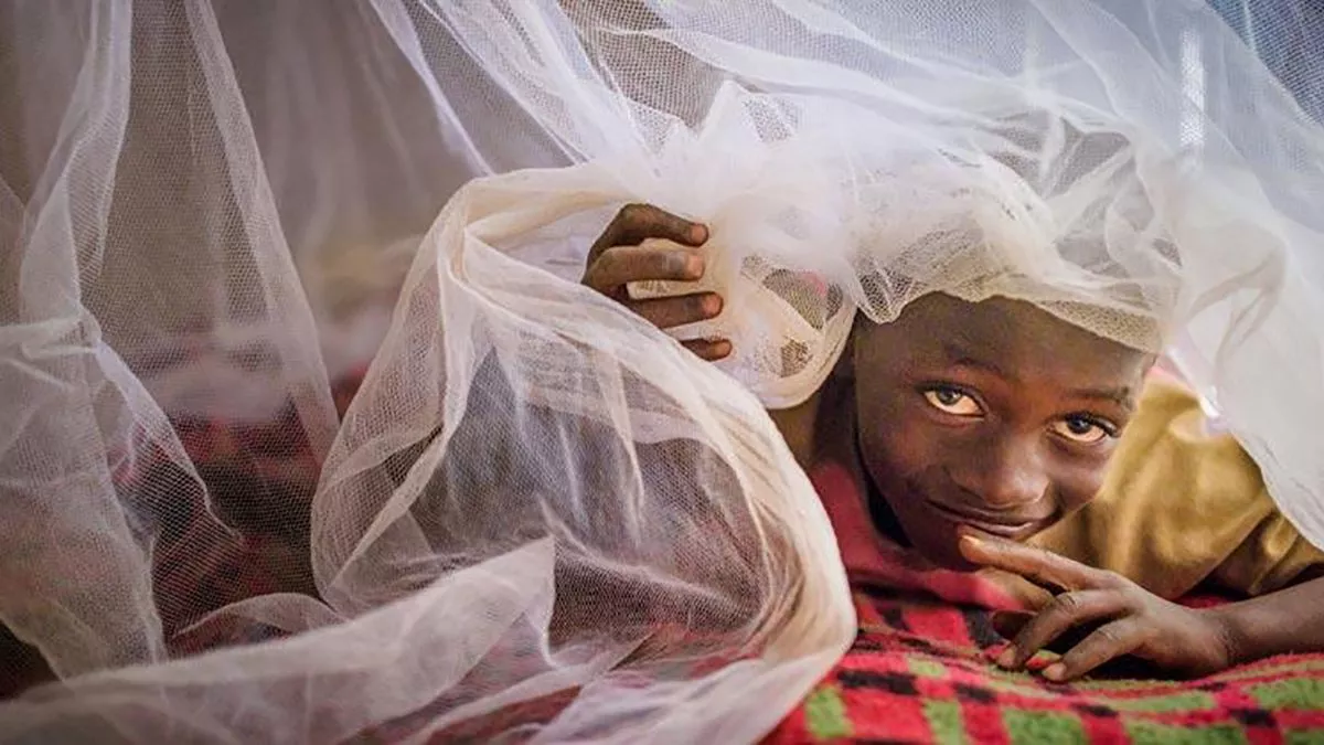 Un reto crítico para la salud global: acabar con la mayor emergencia de malaria de los últimos 20 años