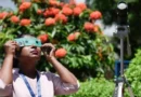Cómo ver y fotografiar de forma segura el eclipse de «Anillo de fuego»