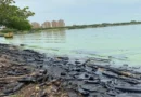 Sector educativo se sumará al Plan Estratégico de concientización para el rescate del Lago de Maracaibo