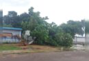 Fuertes lluvias provocaron inundaciones y árboles caídos en Maracaibo