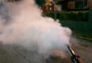 Inició plan de fumigación contra el Dengue en Caracas y se extenderá por todo el país
