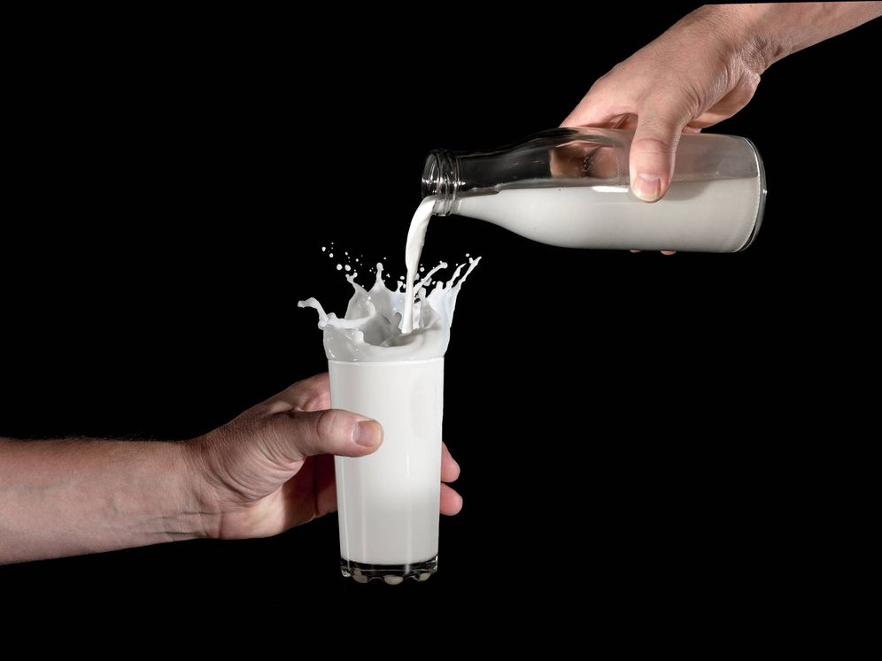 Harvard eliminó la leche de la pirámide alimenticia