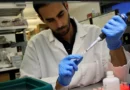 Investigadores españoles aumentan la eficacia de la quimio