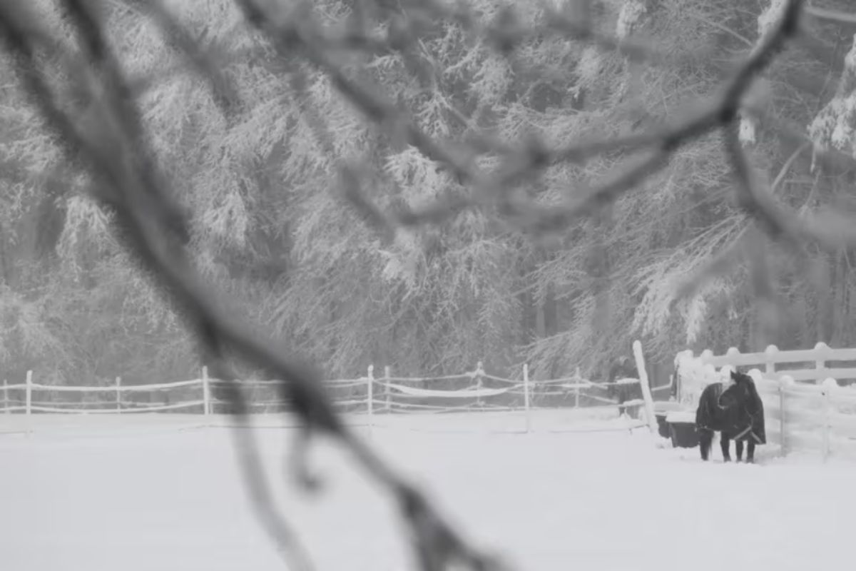 EE.UU. se prepara en los próximos días para la primera gran tormenta invernal del año