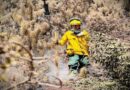 Colombia declara emergencia por incendios forestales,