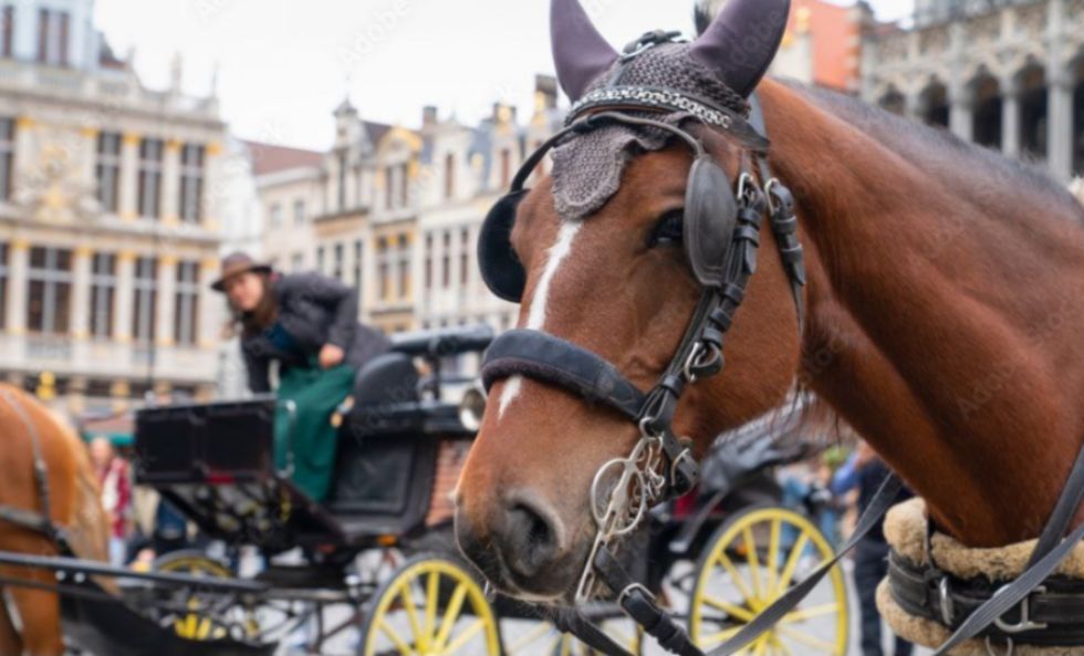 Bruselas será la primera ciudad europea en incluir carruajes eléctricos sin caballos
