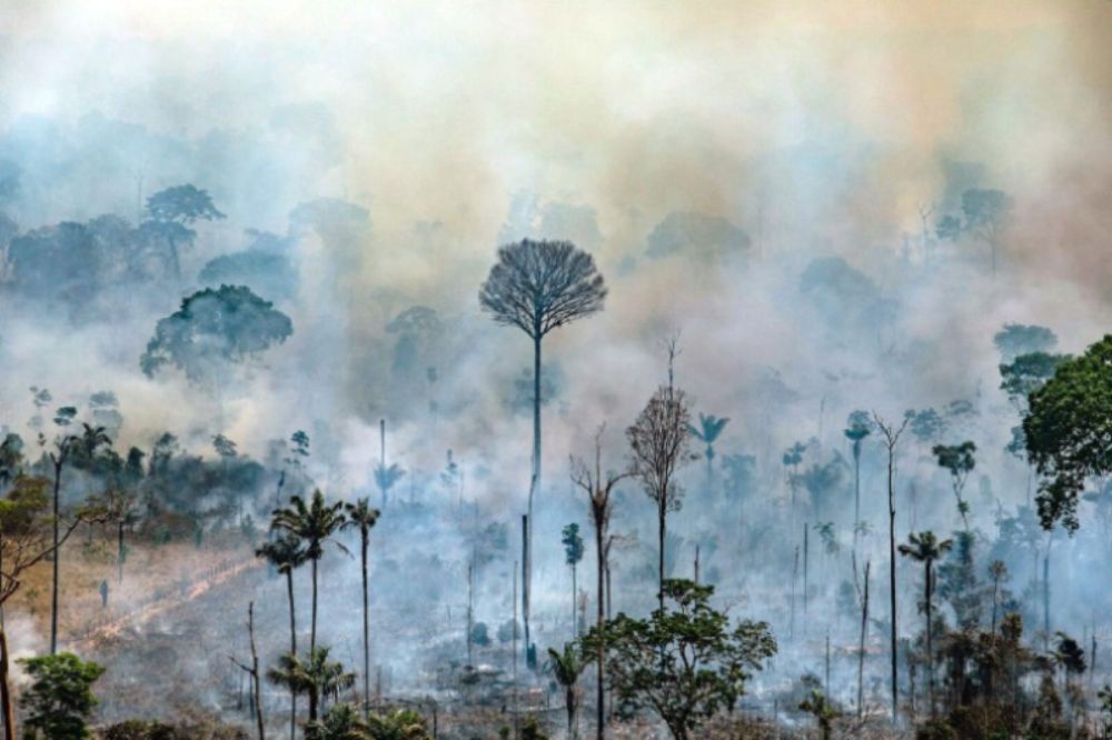 Colombia activa plan estratégico para prevenir incendios en la Amazonía