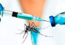 Brasil recibió primer lote de avanzada vacuna contra el dengue