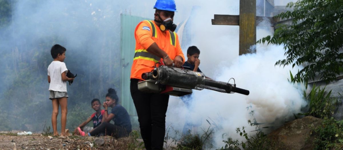 Río de Janeiro declara «estado de emergencia» ante los disparados casos de dengue