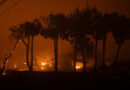 Chile decreta toque de queda e Valparaíso y Marga Marga por incendios forestales