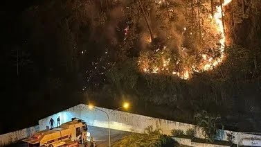 Al menos 30 hectáreas fueron afectadas por el incendio forestal en Mérida