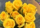 Este es el significado de regalar flores amarillas cada 21 de marzo