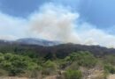 Reportan incendio forestal fuera de control en México