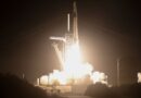 La octava misión comercial de la Nasa y Space X despegó este domingo