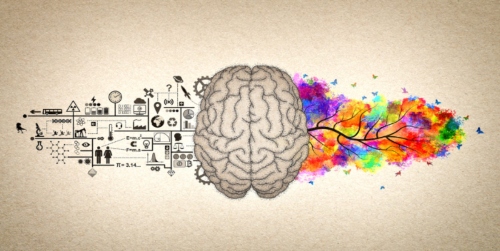 El cerebro genera emociones independientemente de los sentidos