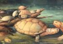 Descubren los restos de una tortuga gigante que vivió hace 57 millones de años en Colombia