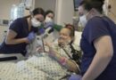 Mujer en EEUU se convierte en la segunda paciente en recibir un trasplante de riñón procedente de un cerdo