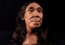 Reconstruyen en 3D rostro de una mujer neandertal que vivió hace 75 mil años