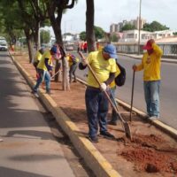 Gobernación del Zulia realiza operativos de limpieza y siembra de árboles