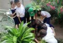 Realizan jornada de siempre de Araguaneyes en centros educativos Zulianos