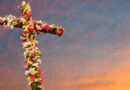 Varios países conmemoran la Cruz de Mayo este viernes