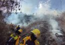 Más de 100 funcionarios desplegados para combatir incendio en Caracas