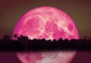 ¿Qué es la Luna de Fresa y cuándo se podrá ver?