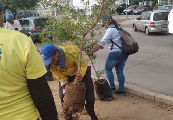 Microbosques Urbanos: una apuesta de la Gobernación del Zulia para reverdecer las ciudades