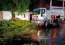 Lluvias ocasionaron caída de árboles y tendido eléctrico en Barquisimeto
