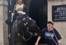 Turista es mordida por caballo de la guardia real