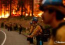 Naturaleza en llamas: el sur de California bajo asedio.