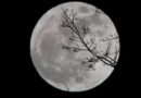 Arranca la temporada de superlunas más espectacular del año