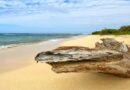 Parque Cacique Nigale, un atractivo natural que embellece el Zulia