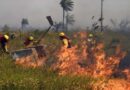 Bolivia declara desastre nacional por incendios forestales