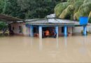 Al menos 150 casas fueron afectadas tras intensas lluvias en dos municipios de Barinas