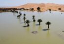 Fuertes lluvias inundaron el desierto de Sáhara