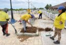 Gobernación despliega operativo de limpieza en la plaza El Buen Maestro de Maracaibo