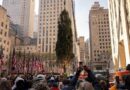 El árbol de Navidad llegó al Rockefeller Center de Nueva York y será encendido el próximo 4 de diciembre