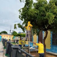 Continuan los trabajos de mantenimiento y saneamiento en el parque Udón Pérez de Maracaibo